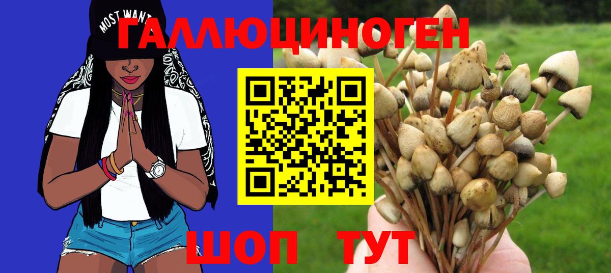Псилоцибиновые грибы мицелий Копейск