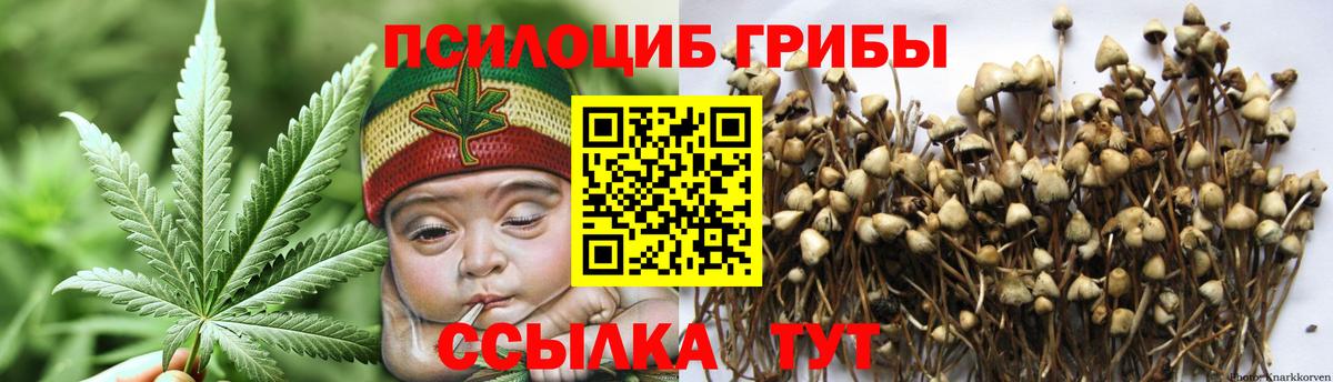Копейск  Галлюциногенные грибы Cubensis  Вход с VPN  Галлюциногенные грибы GOLDEN TEACHER 